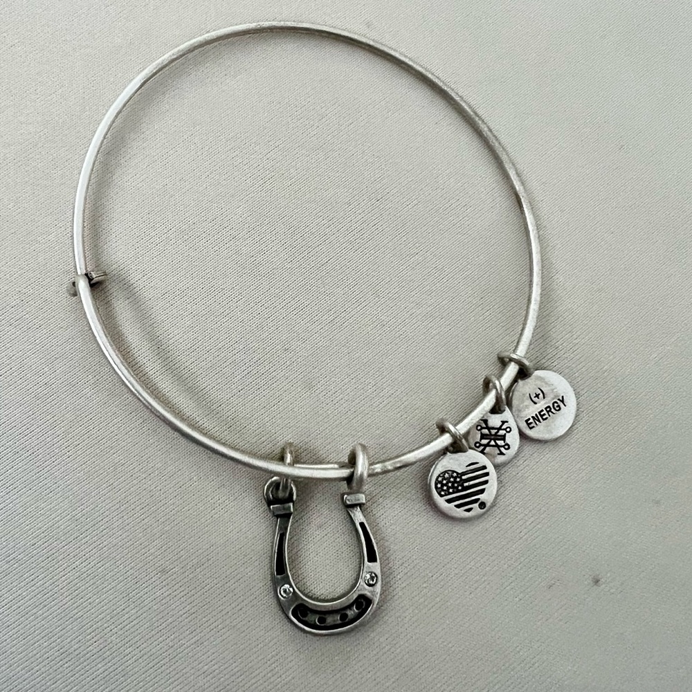 Alex and Ani Horseshoe bracelet